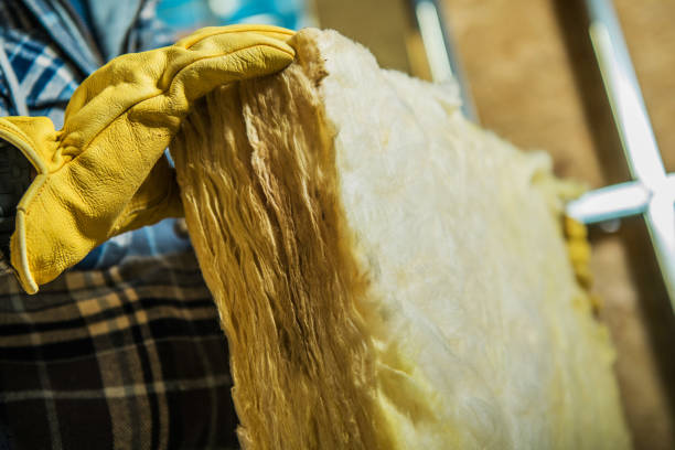 Best Eco-Friendly Insulation in Prospect Rk, PA
